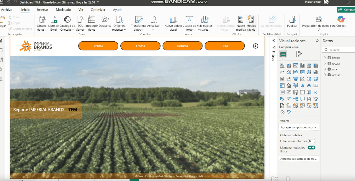 Imperial Brands – Altadis: Sistema Integral de Business Intelligence